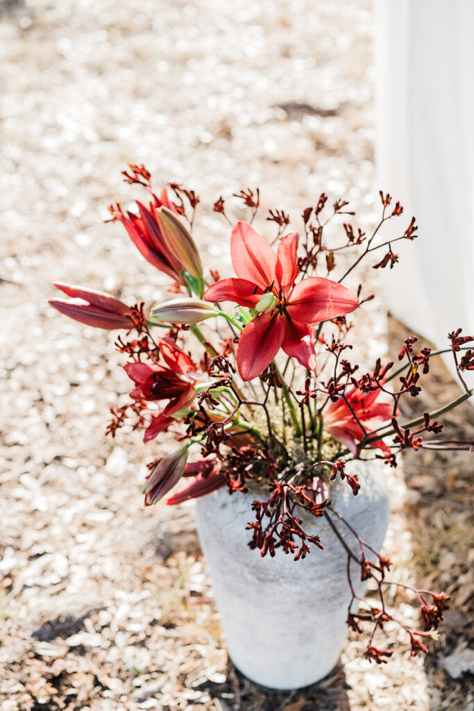 Quiana and David's backyard wedding ceremony in Wimberley, TX
