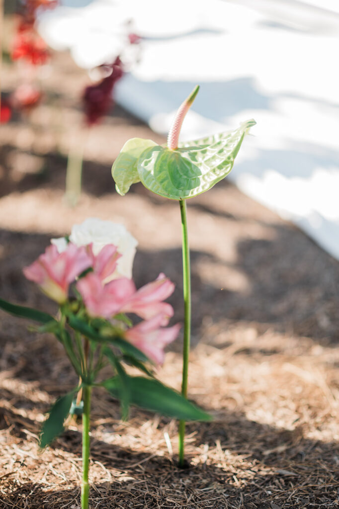 Quiana and David's backyard wedding ceremony in Wimberley, TX