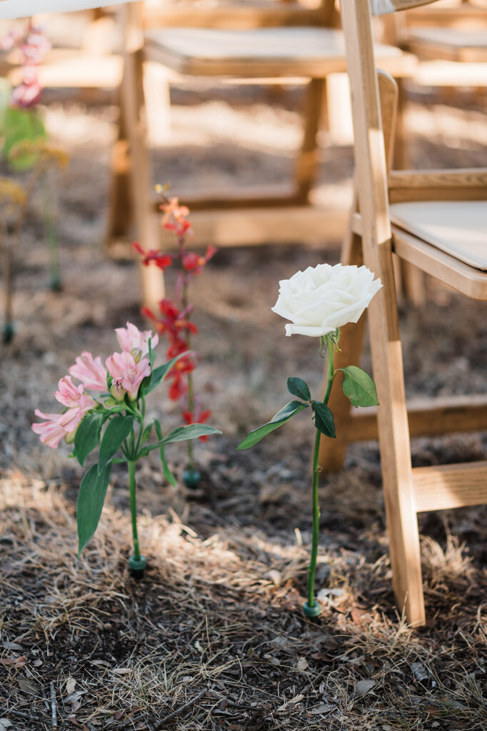 Quiana and David's backyard wedding ceremony in Wimberley, TX